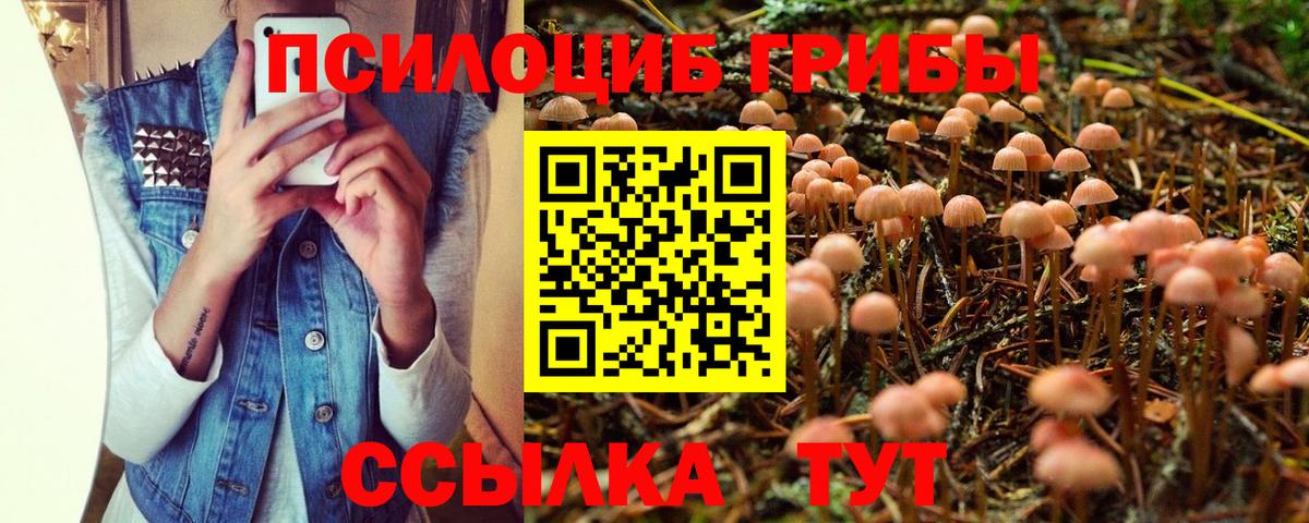 Галлюциногенные грибы мицелий Новотроицк