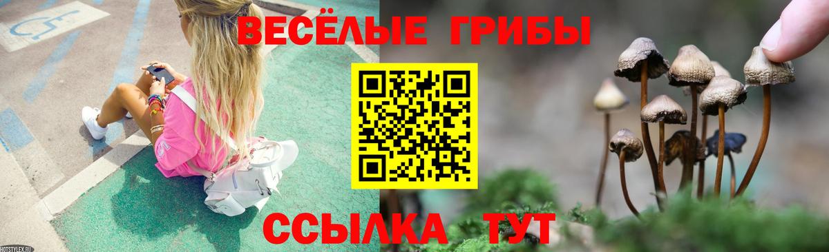 Псилоцибиновые грибы мицелий  Вход с VPN  Новотроицк 